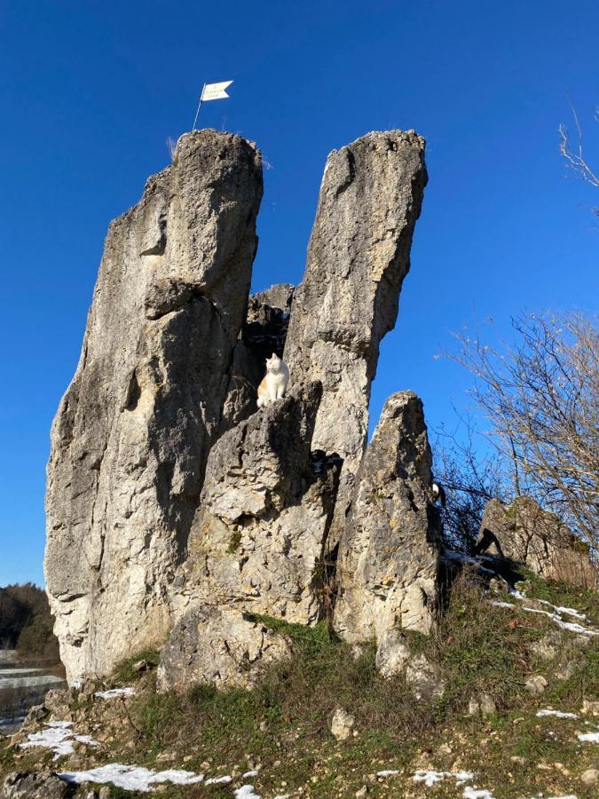 Gasthof Zur Saegemuehle Hiltpoltstein Exterior photo
