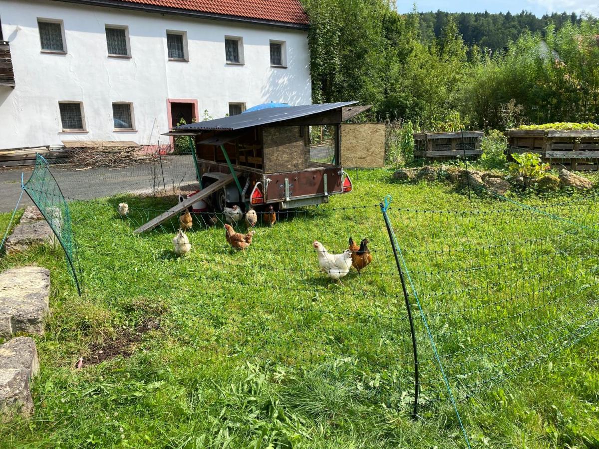 Gasthof Zur Saegemuehle Hiltpoltstein Exterior photo